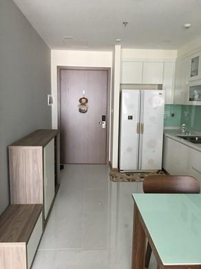 apartment for rent in HCMC BT105P5038 Vu (2)